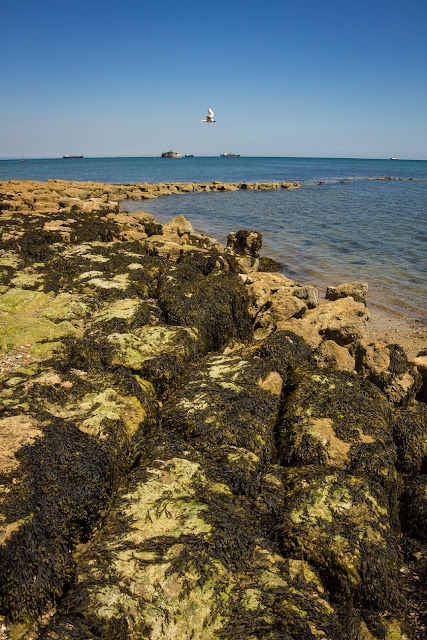 St Helens Duver, Isle of Wight, rocks, Solent, limestone ledges