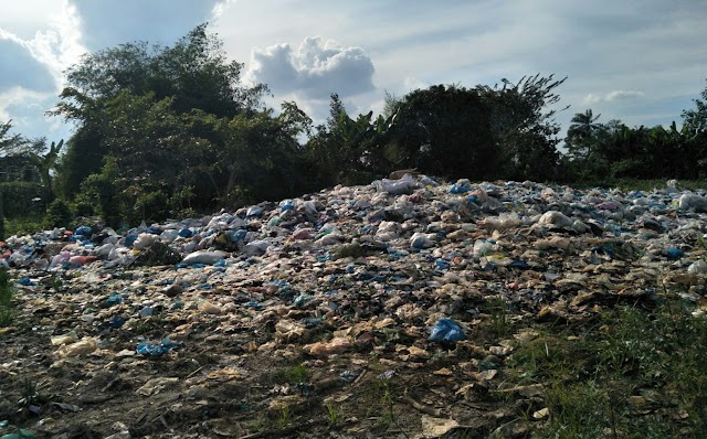 Desa Bangun Sari Baru Menjadi Lahan Tumpukan Sampah Yang Menimbulkan Wabah Penyakit