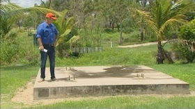 Mango Mystery: Seven-tonne Fruit Disappears In Australia