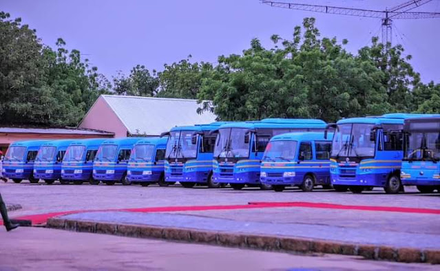 Subsidy Removal: Governor Zulum unveils 70 buses for metro transport, civil servants