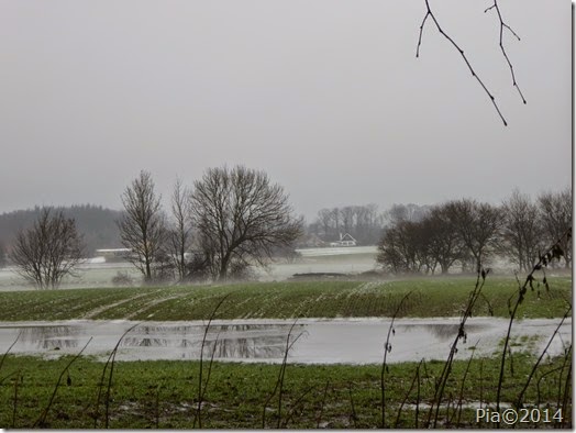 P1040761