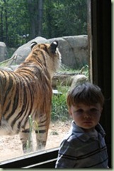 IMG_8402_thumb
