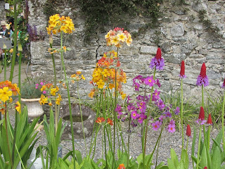 Plants for sale Burtown House