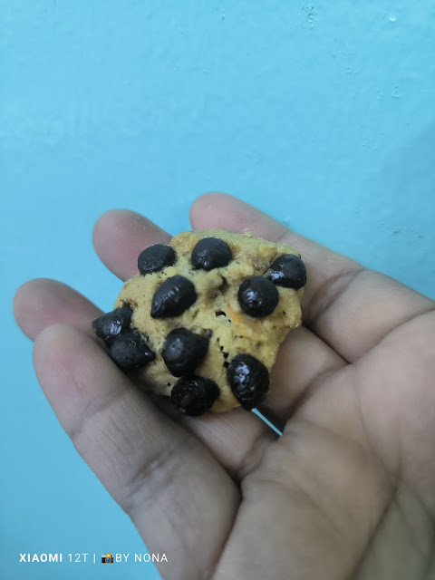 Cookies Rozita Che Wan