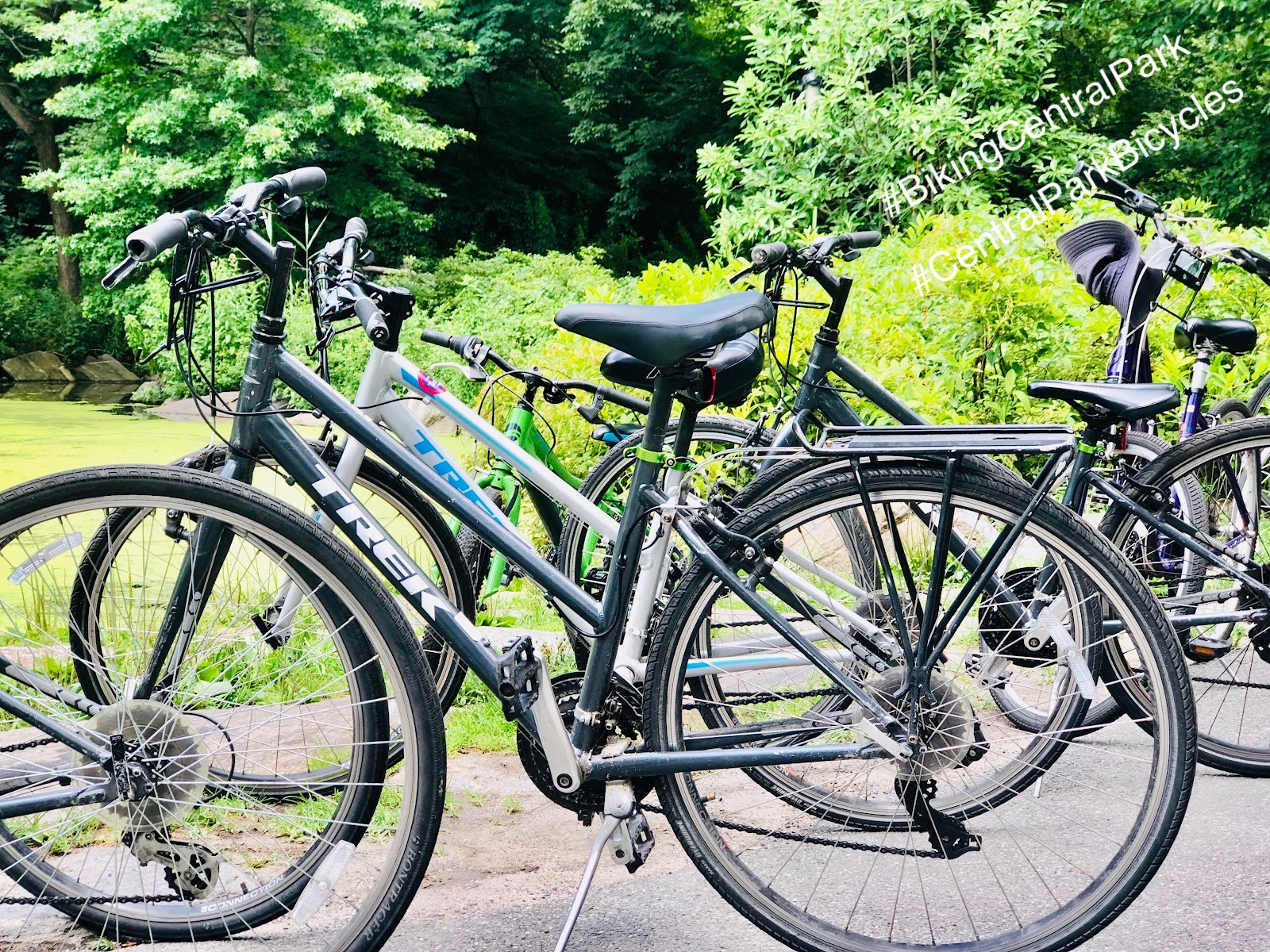 Central Park Tours - Bike Rentals