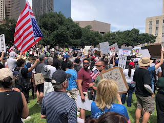 Crowd at No Kings Day, Houston