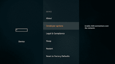 3. Choose the Developer Option
