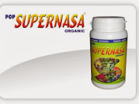 SuperNasa