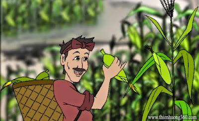 Hãy gieo giống tốt: Câu chuyện người nông dân trồng bắp | Truyện ngắn hay