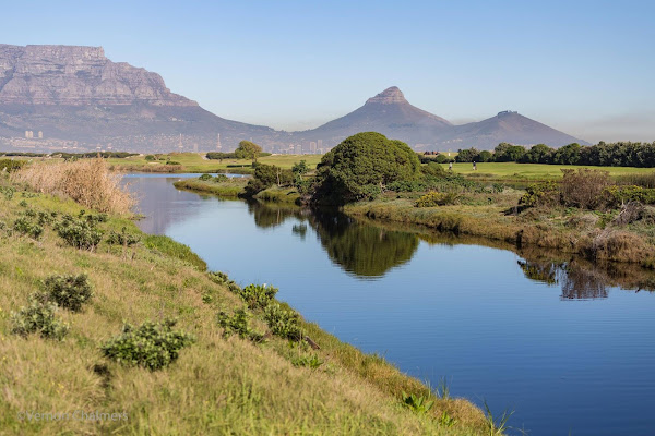 Table Bay Nature Reserve - Diep River View