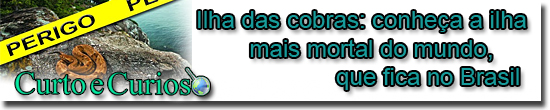 Ilha das cobras no Brasil