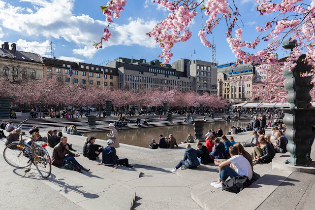 Tại Stockholm, Kungsträdgården (Vườn Hoàng đế) nổi tiếng với vị trí trung tâm đắc địa cùng nhiều quán cà phê lý tưởng để ngồi nhâm nhi thư giãn. Khi mùa Xuân đến, 63 cây anh đào của công viên sẽ làm cho không gian trở nên đẹp hơn bao giờ hết. 