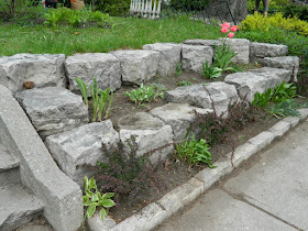 Toronto Riverdale Spring Cleanup Front Garden After by Paul Jung Gardening Services--a Toronto Gardening Company