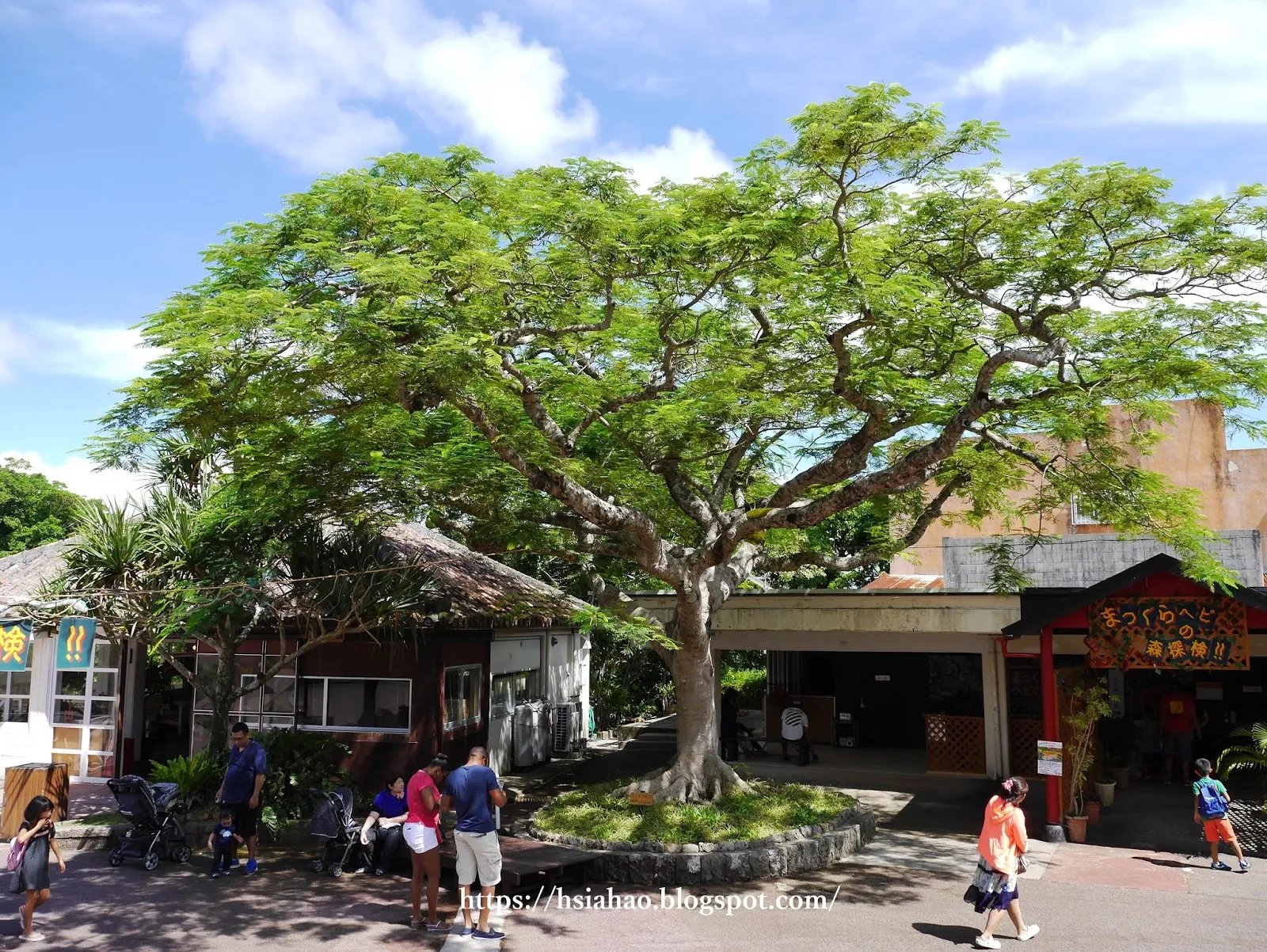沖繩-景點-推薦-親子景點-家庭-沖繩世界-文化王國-自由行-旅遊-Okinawa-world-Gyokusendo-Cave