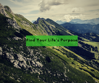 http://mypersonaldevelopmentguide.blogspot.co.za/2016/09/how-to-find-your-purpose-in-life.html