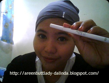 Snapshot_20110122_16