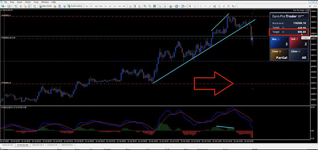  TurnProTrader Forex Trading Course  