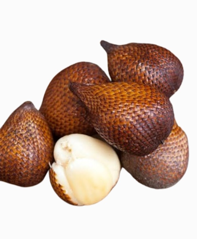 Discovering the Amazing World of Snake Fruit or Salak