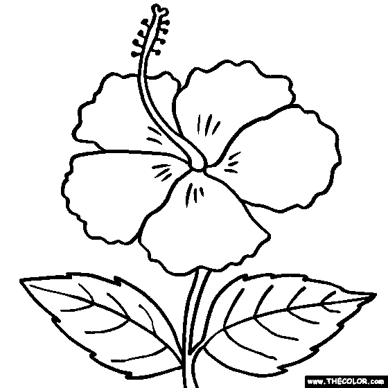 Hibiscus Flower Coloring Pages title=