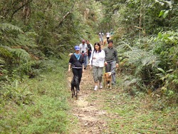 Patas 22 (195)