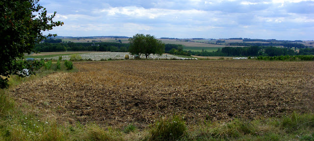 Countryside around Richelieu.  Indre et Loire, France. Photographed by Susan Walter. Tour the Loire Valley with a classic car and a private guide.