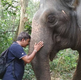 Elephant Whisperer, Anand Shinde