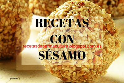 Recetas con Semillas