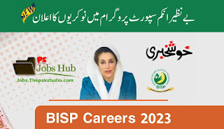 Benazir Income Support Programme BISP Jobs 2023 thumbnail