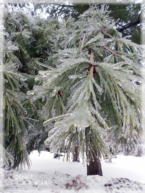 Winter Ice Storms via http://deniseonawhim.blogspot.com