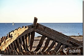 IMG_1454a