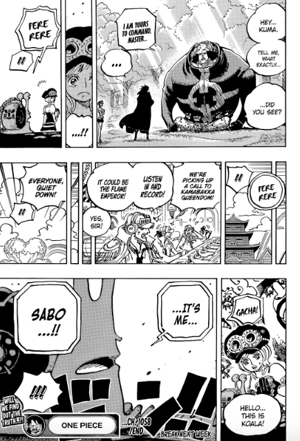 One Piece 1060 Spoilers Reddit: Lulusia Is Destroyed, Sabo Dies?