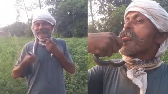 പാമ്പിനെ ചുംബിക്കുന്ന  റീല്‍സ് ചിത്രീകരിക്കുന്നതിനിടെ യുവാവിന്റെ നാവിന് കടിയേറ്റു : വിഷബാധയേറ്റ യുവാവിന്റെ ആരോഗ്യനില ഗുരുതരം 