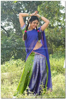 Meenakshi, milky, navel, in, half, saree, pictures