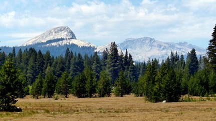 P1040508