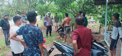 Gambar