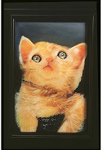 I like cats
