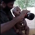 (Video) Bapa ditahan selepas videonya beri anak minum arak viral di media sosial