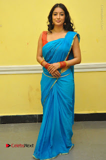 Telugu Actress Vaibhavi Stills in Blue Saree at Www.Meena Bazaar Movie Opening  0108.JPG