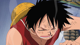 ワンピース アニメ エニエスロビー編 302話 ルフィ Monkey D. Luffy | ONE PIECE Episode 302 Enies Lobby