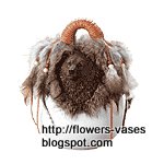 Flowers vases:VA66449-[14940]