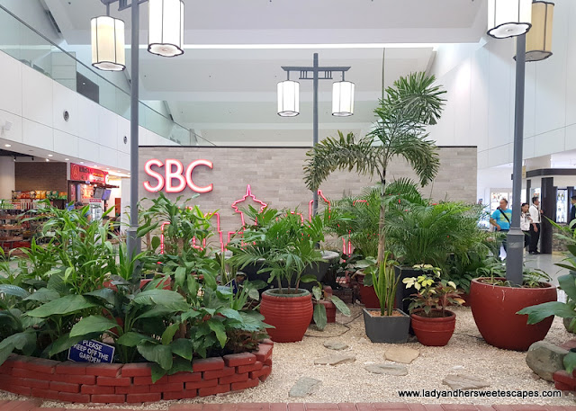 Mini garden behind one of the cafes in NAIA T3