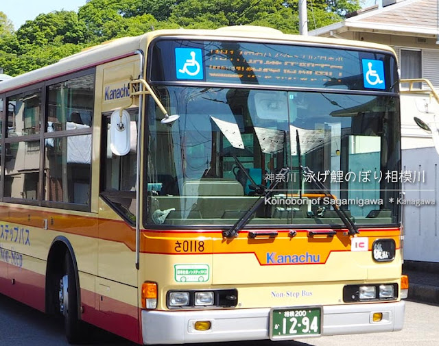 泳げ鯉のぼり相模川