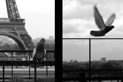 Paris mondrianesque guillaume lelasseux 2009