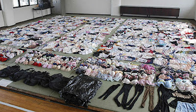 4,400 Stolen Pieces of Women's Underwear