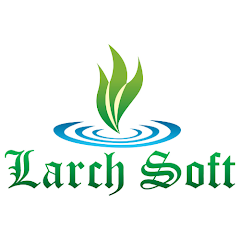Larchsoft a website designing and development company