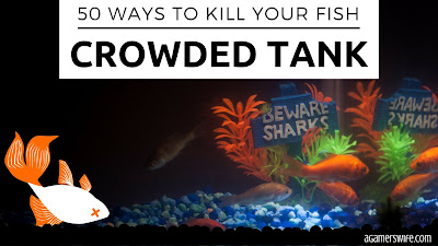 50 Ways to Kill Your Fish - Crowded Tank