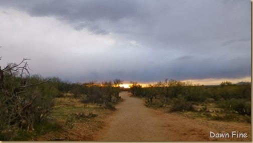 Romero pools hike_115