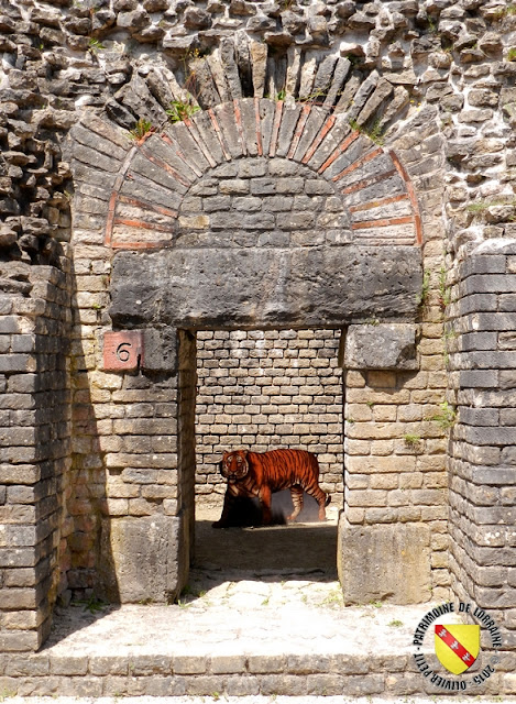 GRAND (88) - Amphithéâtre gallo-romain