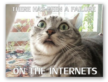 lolcat