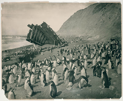 Fotografías de la Antártida hace 100 años